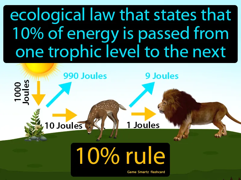 10 Percent Rule Definition - Easy to Understand | GradesUp.gg