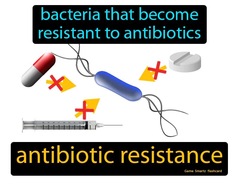 Antibiotic Resistance Definition - Easy to Understand | GradesUp.gg