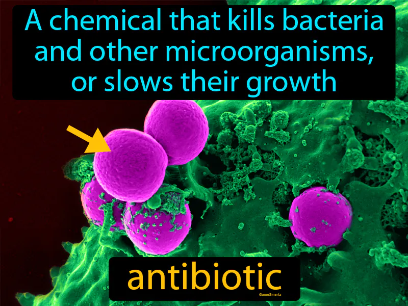 Antibiotic Definition