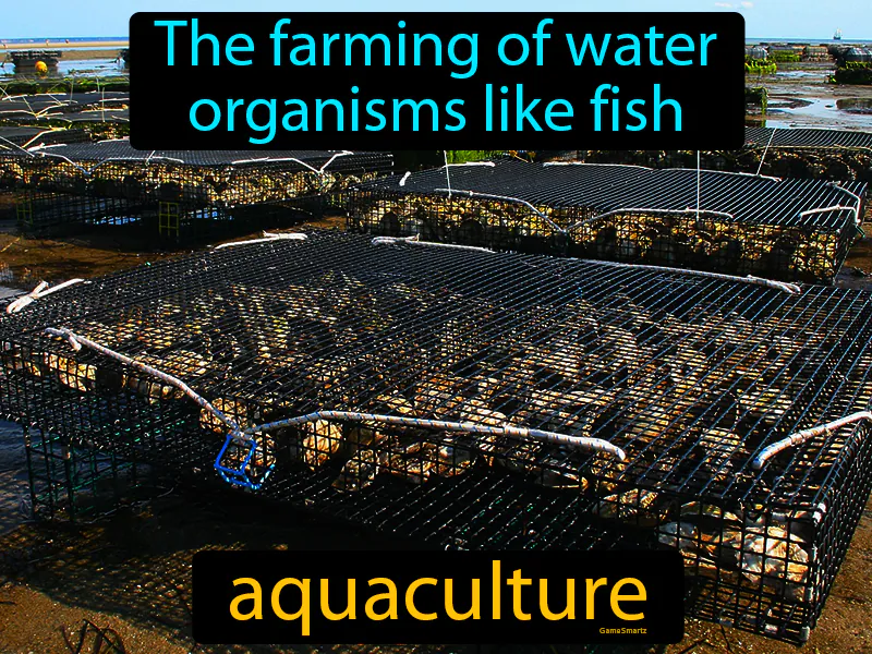 Aquaculture Definition - Easy to Understand | GradesUp.gg