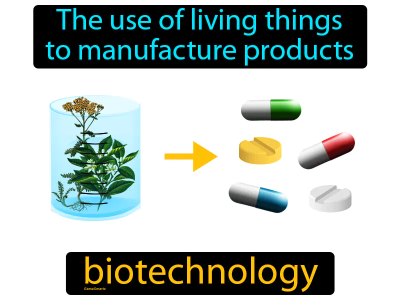 Biotechnology Definition - Easy to Understand | GradesUp.gg