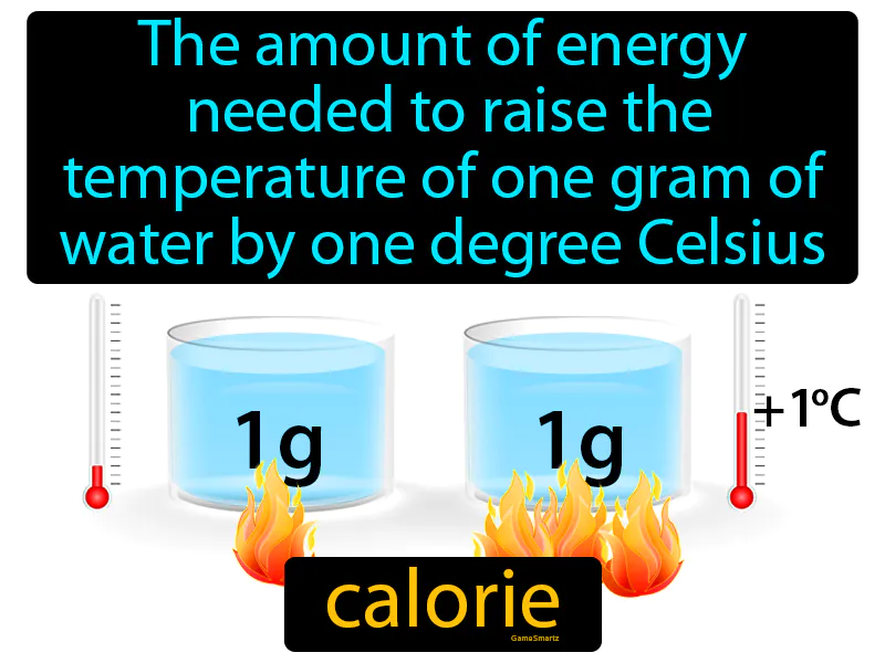 Calorie Definition