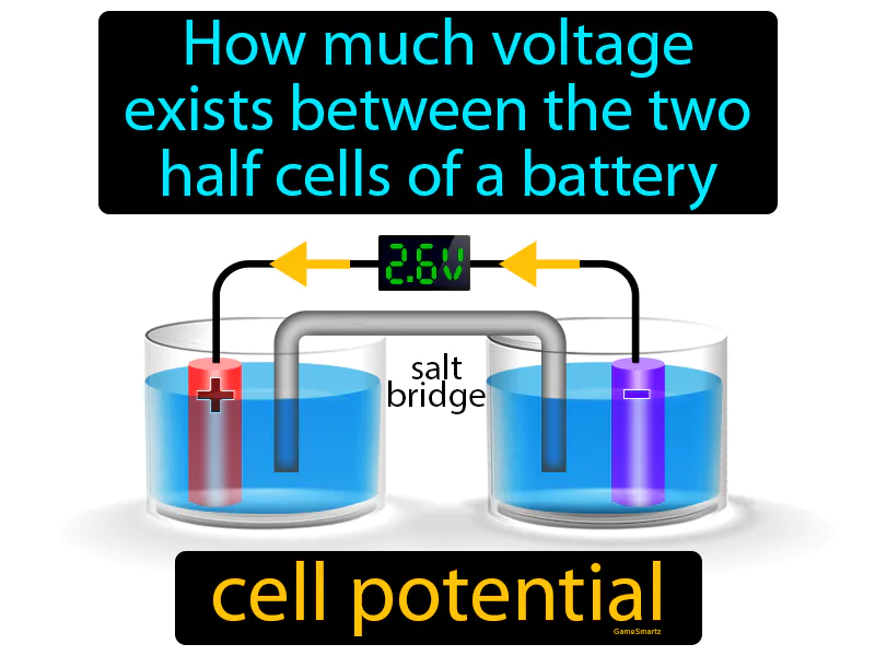 Cell Potential Definition - Easy to Understand