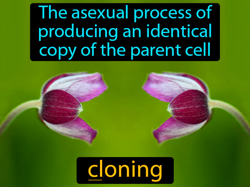 Cloning Definition - Easy to Understand | GradesUp.gg