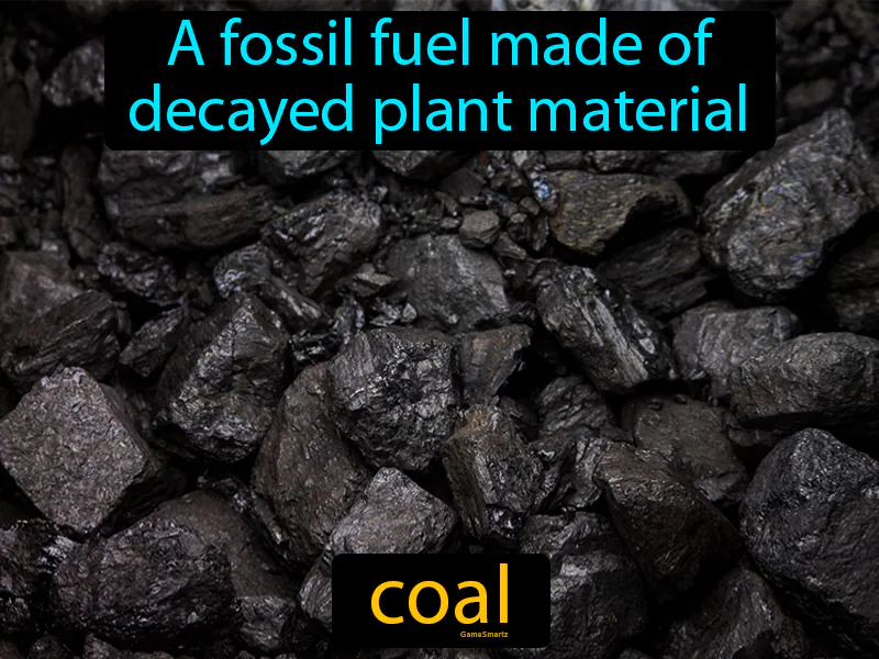 Coal Definition - Easy to Understand