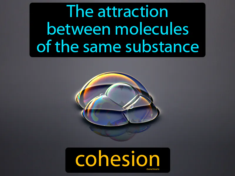 Cohesion Definition - Easy to Understand | GradesUp.gg