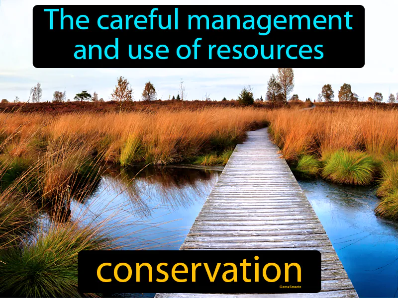 Conservation Definition