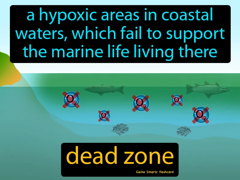 Dead Zone Definition - Easy to Understand | GradesUp.gg