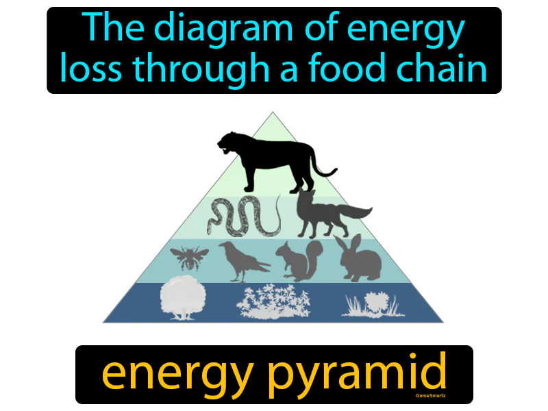 Energy Pyramid Definition