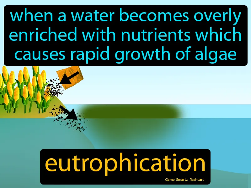 Eutrophication Definition - Easy to Understand | GradesUp.gg