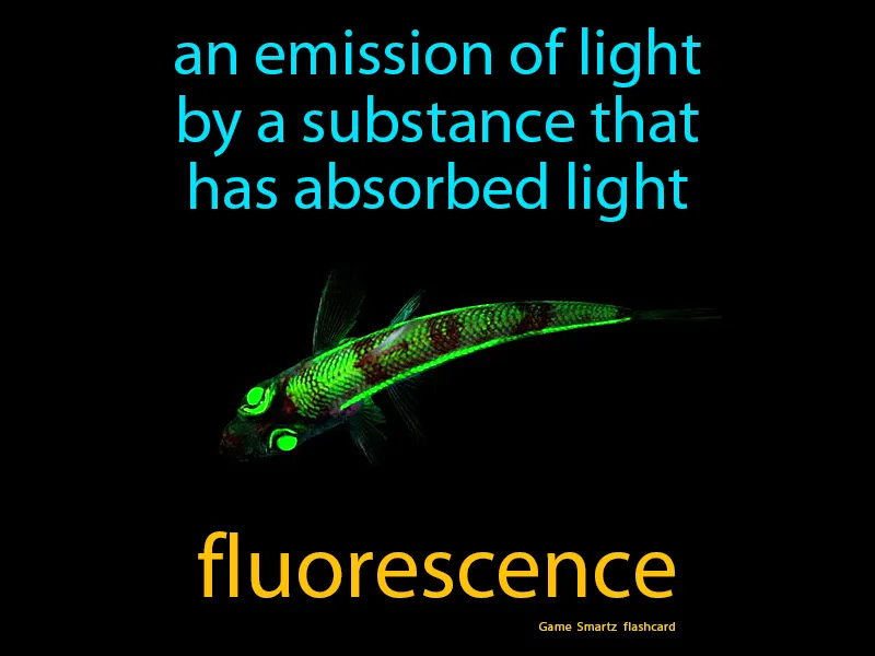 Fluorescence Definition