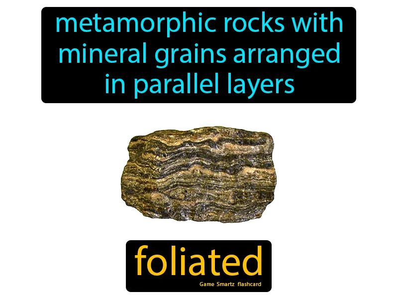 Foliated Definition - Easy to Understand | GradesUp.gg