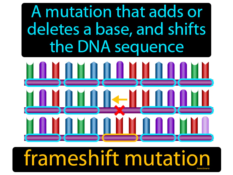 Frameshift Mutation Definition - Easy to Understand | GradesUp.gg