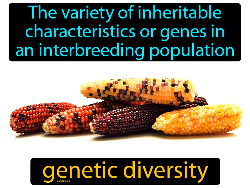 Genetic Diversity Definition - Easy to Understand | GradesUp.gg