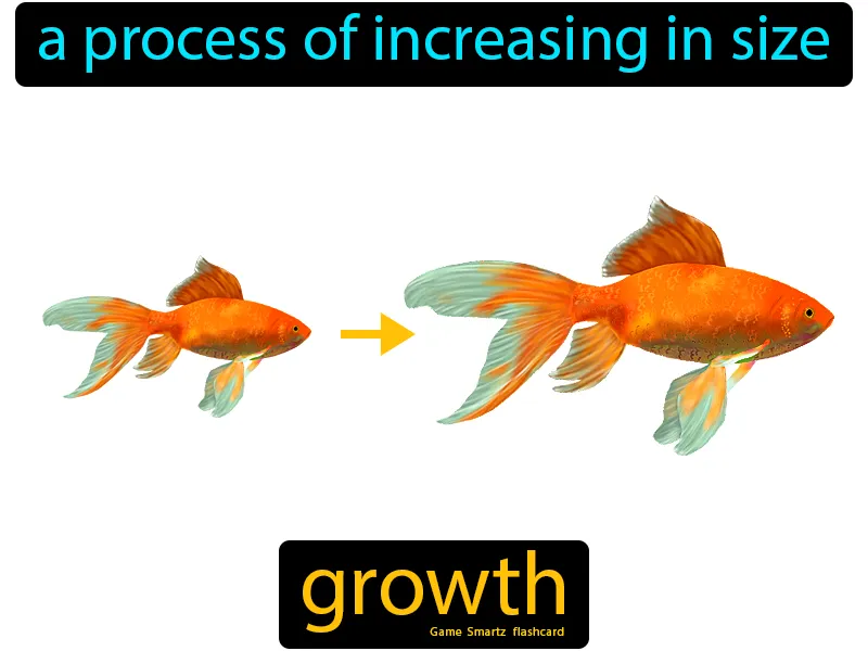 Growth Definition - Easy to Understand | GradesUp.gg