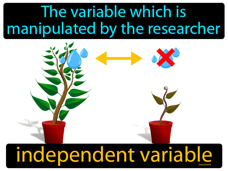 Independent Variable Definition - Easy to Understand | GradesUp.gg