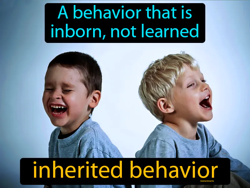 Inherited Behavior Definition - Easy to Understand