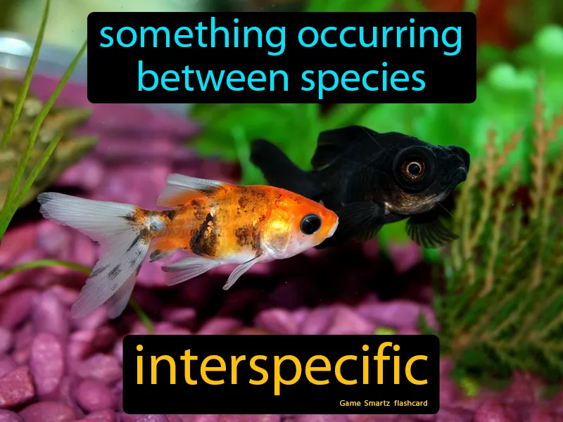 Interspecific Definition - Easy to Understand | GradesUp.gg