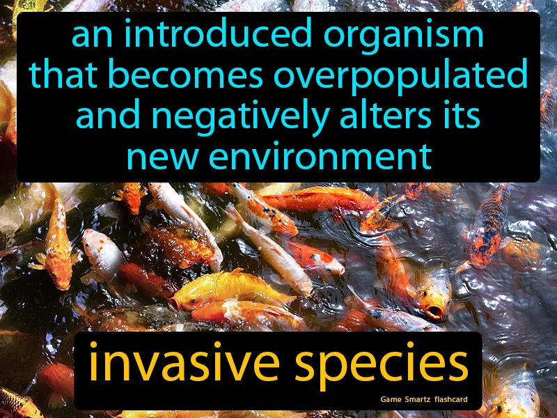 Invasive Species Definition - Easy to Understand | GradesUp.gg