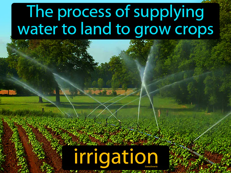 Irrigation Definition