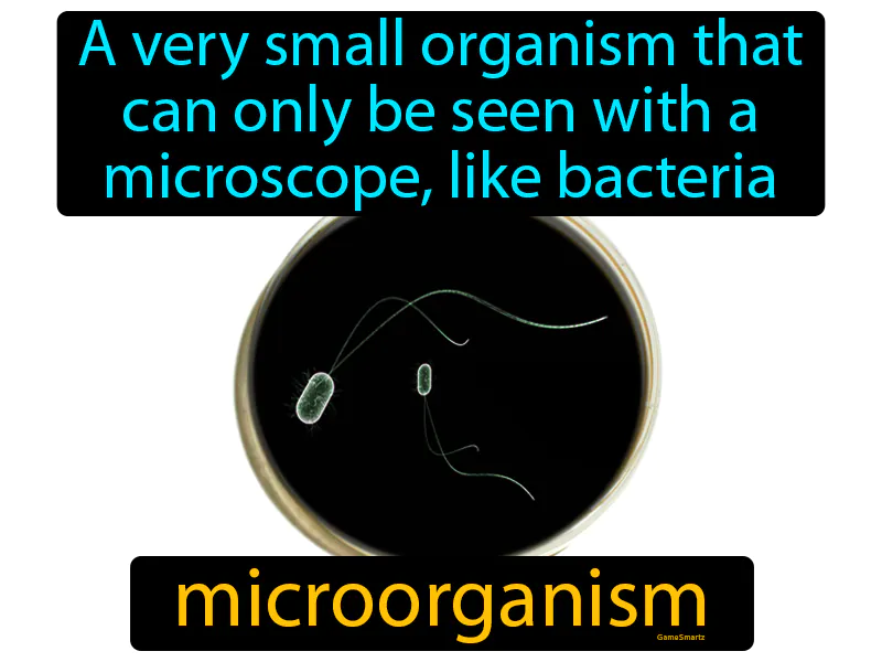 Microorganism Definition