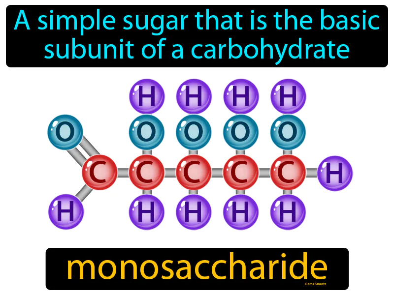 Monosaccharide Definition - Easy to Understand | GradesUp.gg