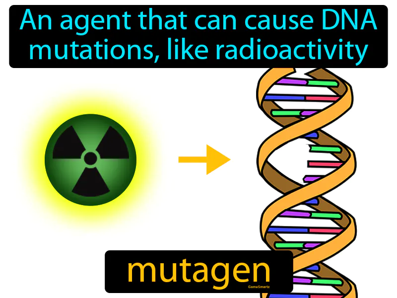 Mutagen Definition