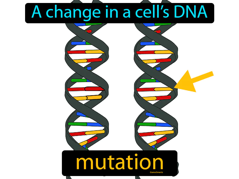 Mutation Definition - Easy to Understand