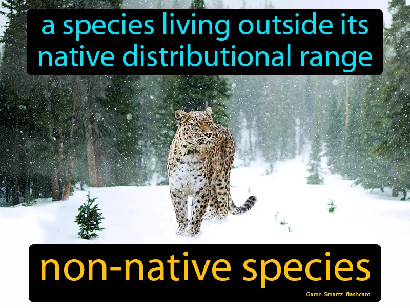 Non-native Species Definition - Easy to Understand