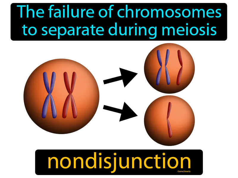 Nondisjunction Definition