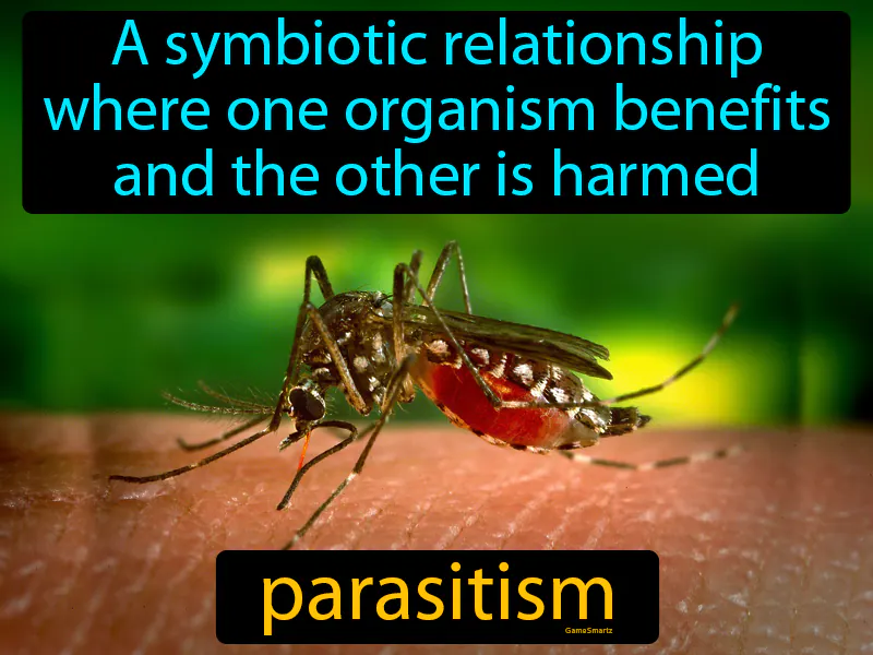 Parasitism Definition - Easy to Understand | GradesUp.gg