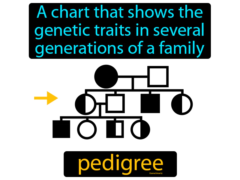 Pedigree Definition