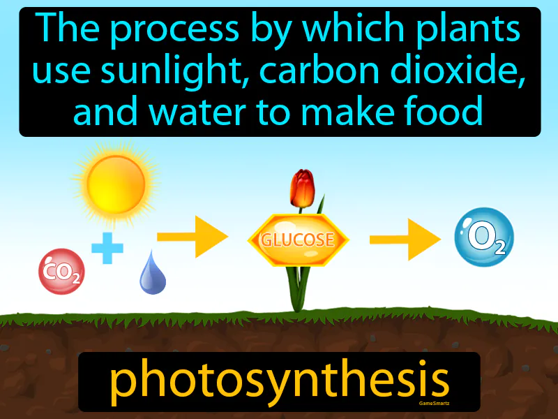 Photosynthesis Definition