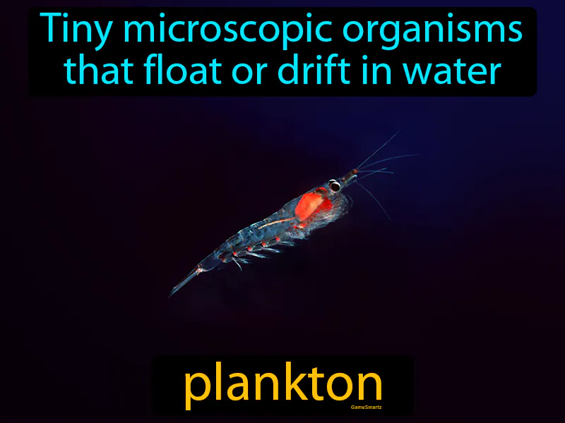 Plankton Definition - Easy to Understand | GradesUp.gg