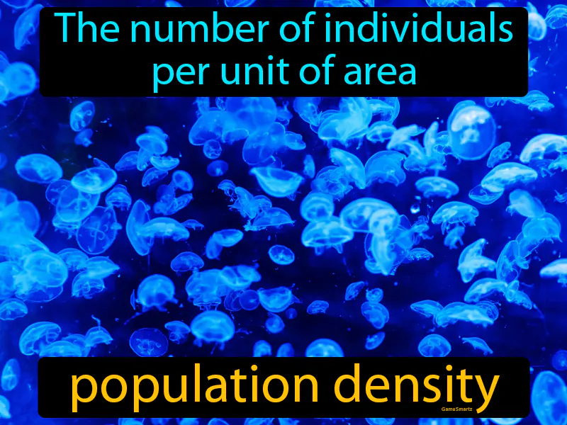 Population Density Definition - Easy to Understand | GradesUp.gg