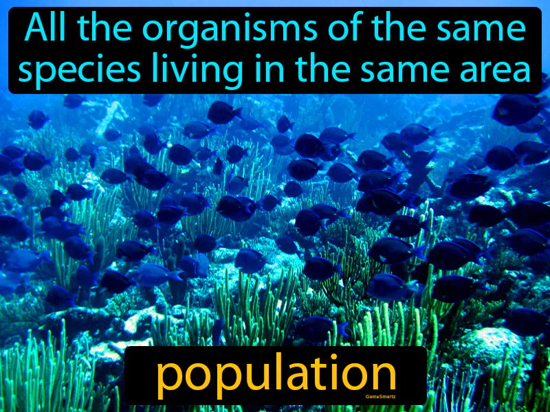 Population Definition - Easy to Understand | GradesUp.gg