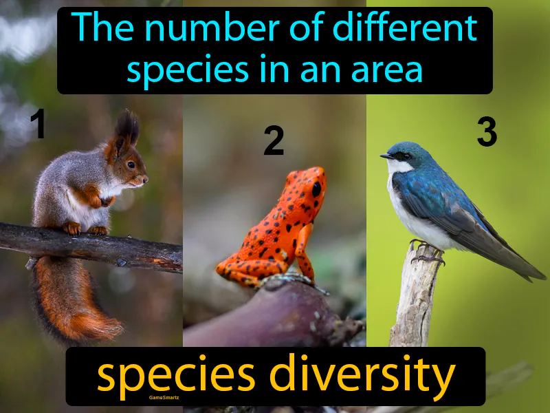 Species Diversity Definition - Easy to Understand | GradesUp.gg