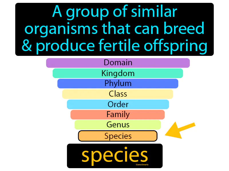 Species Definition