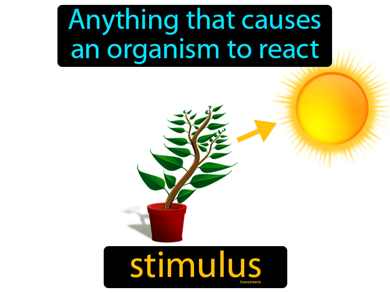 Stimulus Definition - Easy to Understand | GradesUp.gg