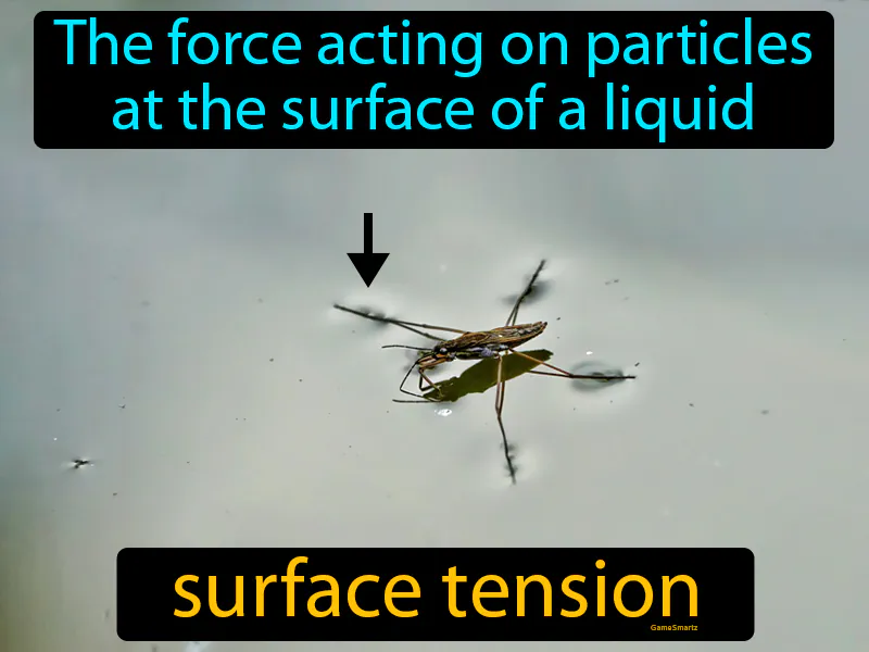 Surface Tension Definition