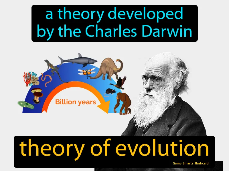 Theory Of Evolution Definition - Easy to Understand