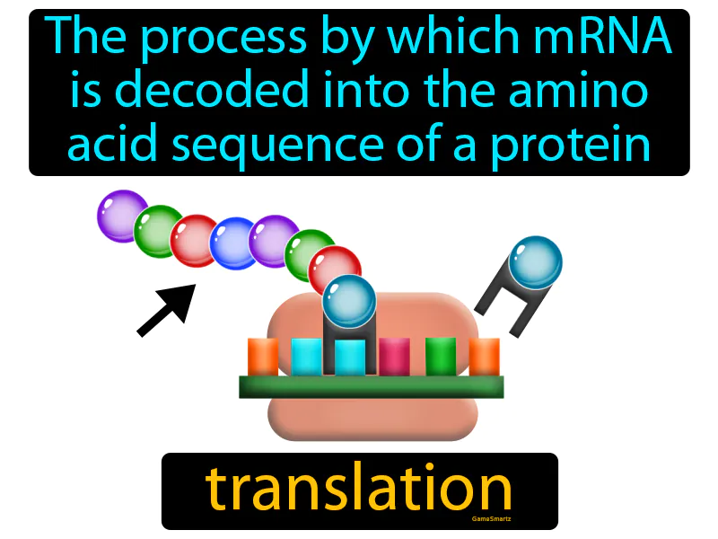 Translation Definition - Easy to Understand | GradesUp.gg