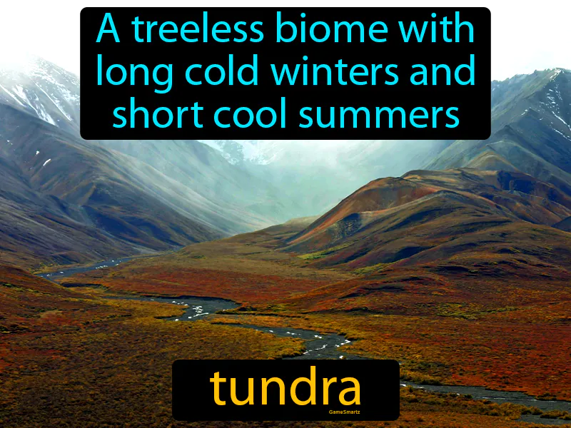 Tundra Definition - Easy to Understand