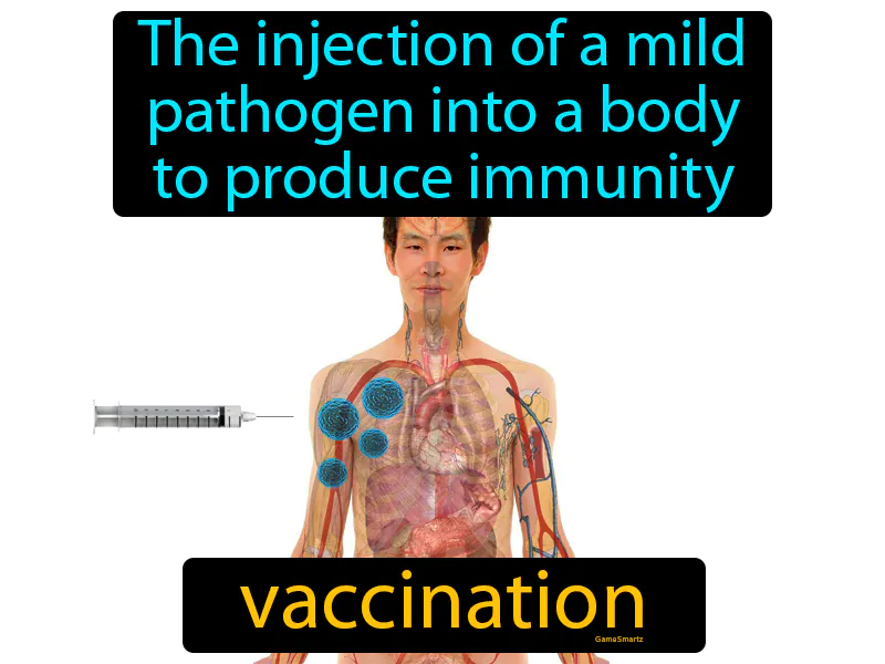 Vaccination Definition - Easy to Understand | GradesUp.gg