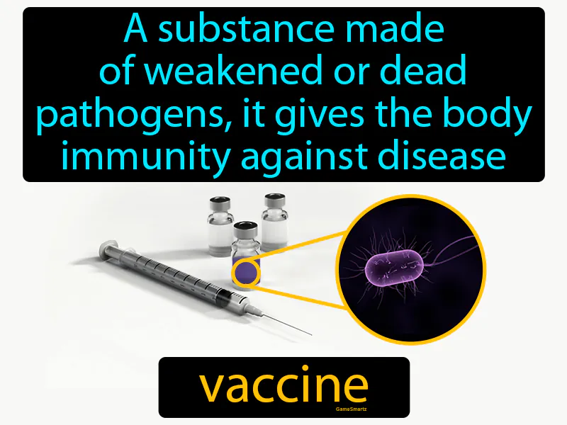 Vaccine Definition - Easy to Understand | GradesUp.gg