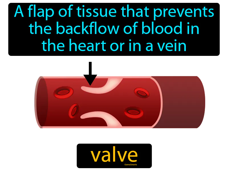 Valve Definition