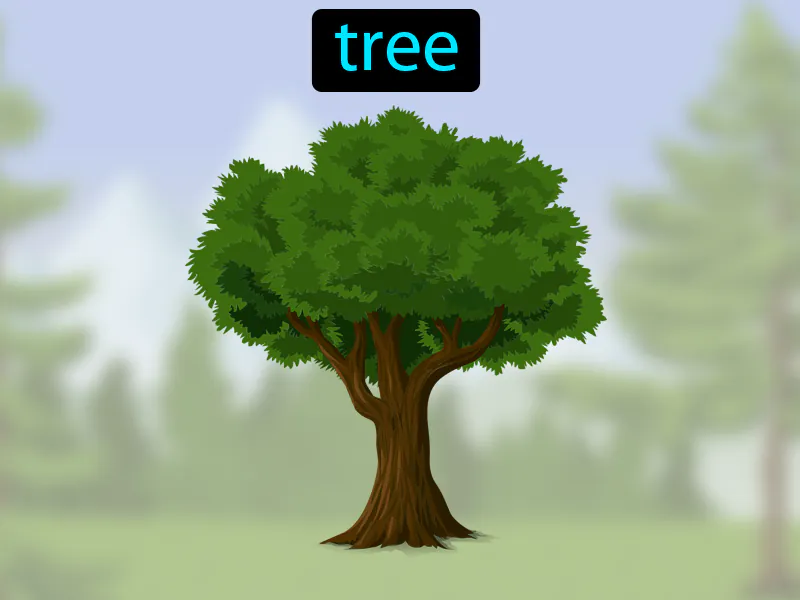 El Arbol Definition - Easy to Understand | GradesUp.gg