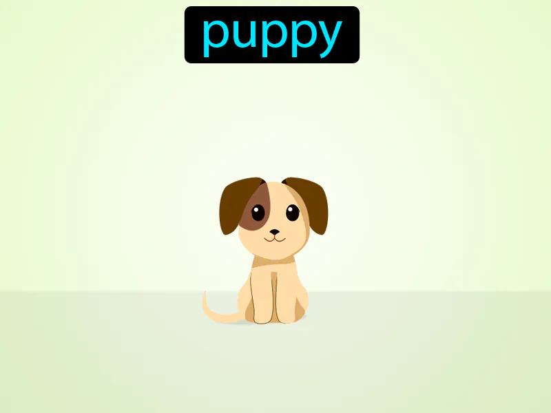 El Perrito Definition - Easy to Understand | GradesUp.gg