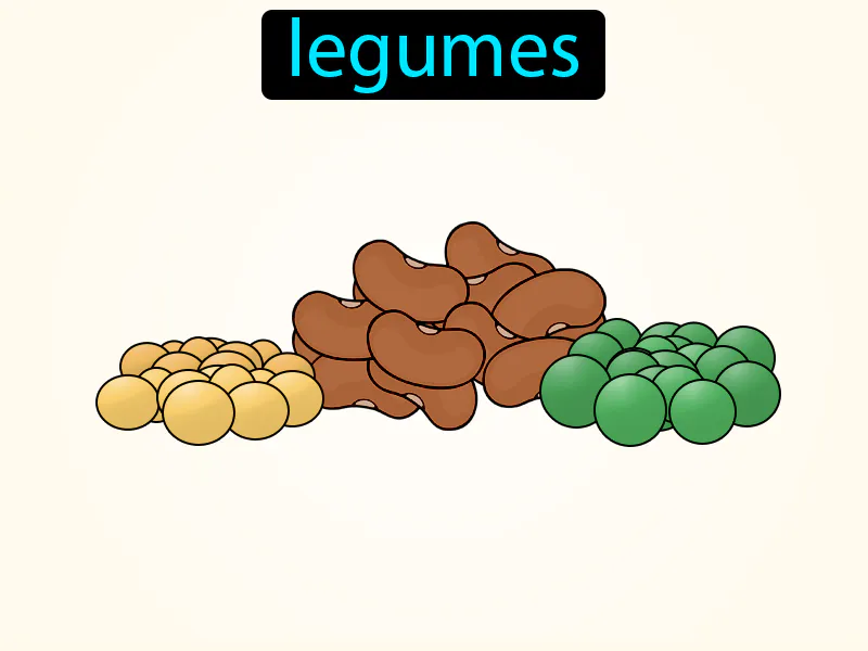 Las Legumbres Definition