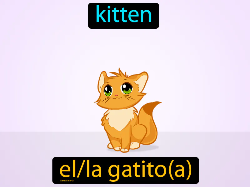 El Gatito Definition - Easy to Understand | GradesUp.gg